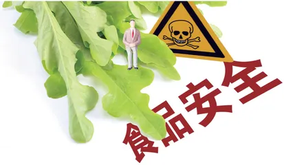 我国互联网食品安全监管的现状、困境与优化对策