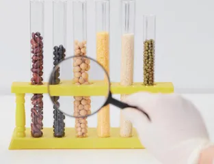 食品质量安全管理体系建设研究