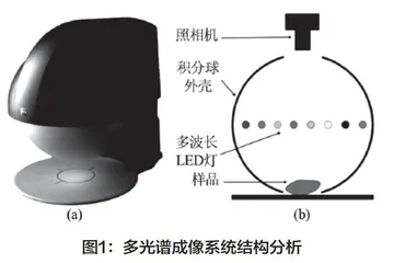食品营养品质检测中多光谱成像技术的应用现状与趋势分析
