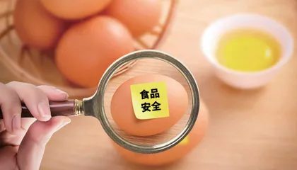 课程思政下食品安全课程教学实践研究