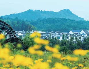 全面部署乡村建设 建设宜居宜业美丽乡村 