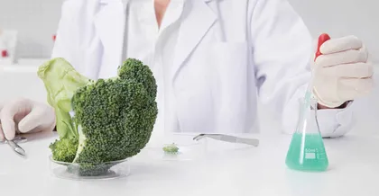 检测技术在食品质量安全控制中的应用分析