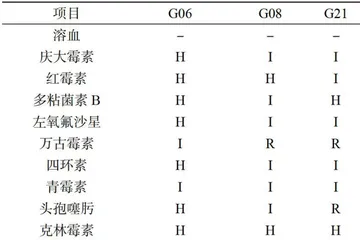 新疆地区奶疙瘩中乳酸菌的筛选及其特性研究3