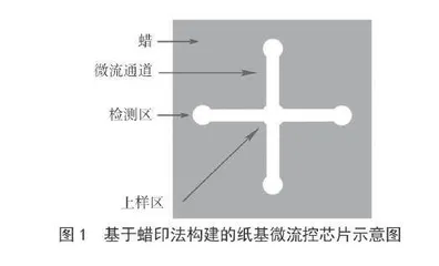 纸基微流控芯片的构建及其在柠檬黄检测中的应用4