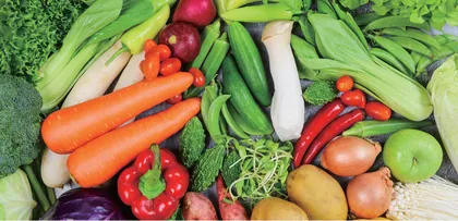 青岛市可食用农产品质量安全可追溯体系的建设研究