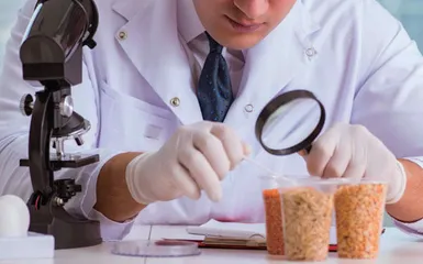 食品化学课程思政教学探索与实践