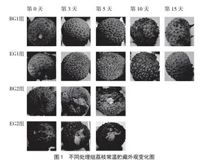 酒糟醇溶蛋白纳米复合涂膜剂在荔枝保鲜中的研究