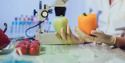 食品专业课程思政建设的思考与提升策略