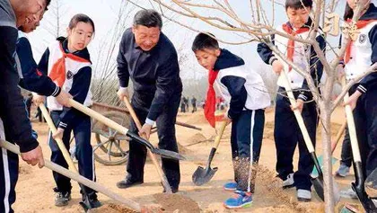 系列视频:习语3