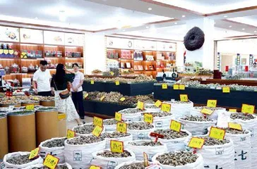 锦绣中国年10