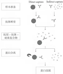 微生物检测质量控制的关键因素及优化策略