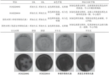 乳粉中单核细胞增生李斯特氏菌能力验证结果及关键环节分析4