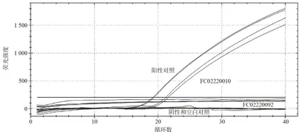 乳粉中单核细胞增生李斯特氏菌能力验证结果及关键环节分析6