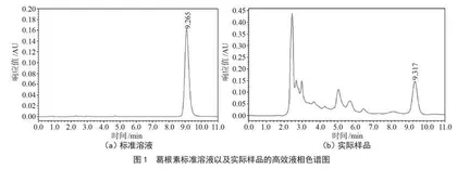 富硒葛根粉中葛根素含量的测定方法