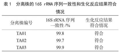 鸡源产气荚膜梭菌的分离鉴定及耐药性研究