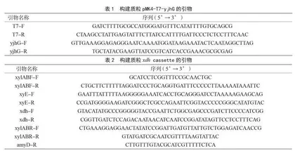 重构枯草芽孢杆菌的木糖代谢通路生产乙醇酸