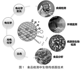 快速检测技术在食品安全监管中的应用