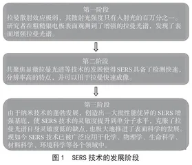 表面增强拉曼散射传感技术在食品生物胺快速检测中的应用研究进展