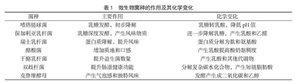 微生物发酵技术在优化酸奶口感与营养价值中的应用