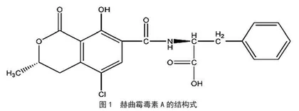 粮食中赭曲霉素A检验方法的研究进展