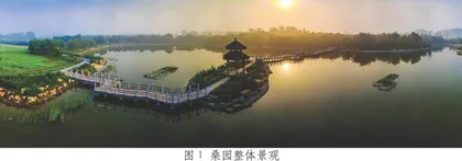 擦亮全球重要农业文化遗产“金字招牌”