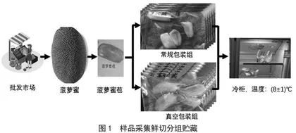 鲜切菠萝蜜冷藏条件下总黄酮的变化研究 