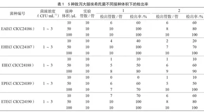 5种致泻大肠埃希氏菌不同浓度下的国标法检出率分析