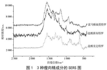 猪肝中瘦肉精的TLC-SERS检测方法研究 