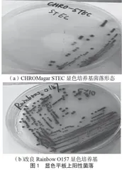 牛肉样品中产志贺毒素大肠埃希氏菌和肠致病性大肠埃希氏菌的分离鉴定