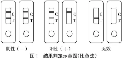 芒果中农药残留胶体金免疫层析快速检测方法的建立与应用