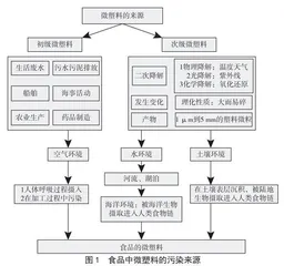 沿海地区食品中微塑料的防治
