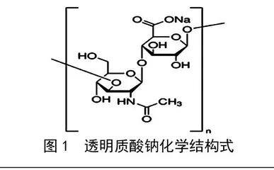 透明质酸钠功能机理及在食品中的应用进展