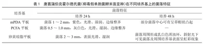浅谈唐菖蒲伯克霍尔德氏菌（椰毒假单胞菌酵米面亚种）的危害