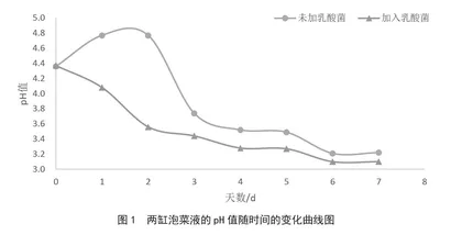 传统泡菜制作与乳酸菌的分离观察
