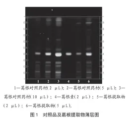 葛根提取物薄层鉴别与含量测定