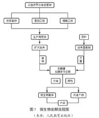 微生物在食品发酵中的应用探究