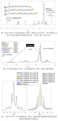利用台式核磁共振（NMR）波谱仪检测食品掺假