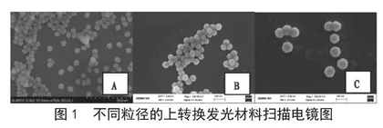 基于上转换荧光纳米材料免疫层析法快速检测甲硝唑的研究	