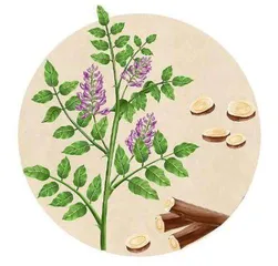 药店里“消失”的复方甘草片