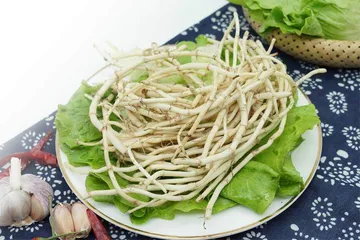 清热养肺，吃点鱼腥草