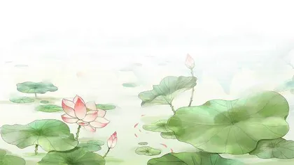 荷叶，原来是一味解暑良药