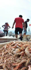 胶东的海味