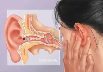 耳朵拉响的警报声，别不当回事
