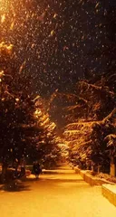 那个冬夜的雪