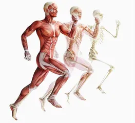 瞎练毽子操，费腰