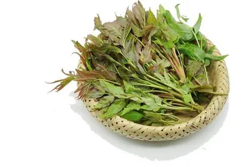 最爱那道“椿味”