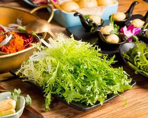 野菜VS毒草，傻傻分不清楚