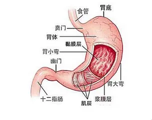 知名媒体人曹景行因何去世？主刀医生这样说
