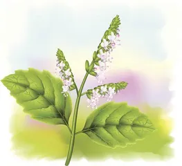 抑郁症，不是“想多了”那么简单