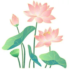“夏养三伏”，老祖宗咋养的